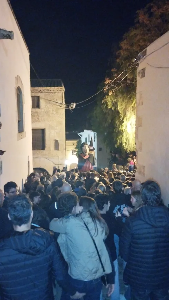 Baixada del Gat 2025